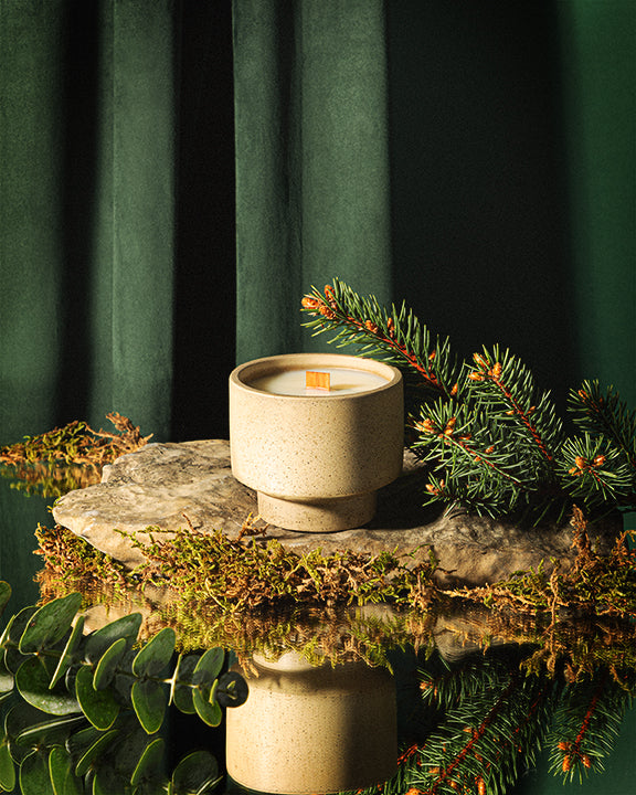 candle✣candle Winter Candle – Brightfield