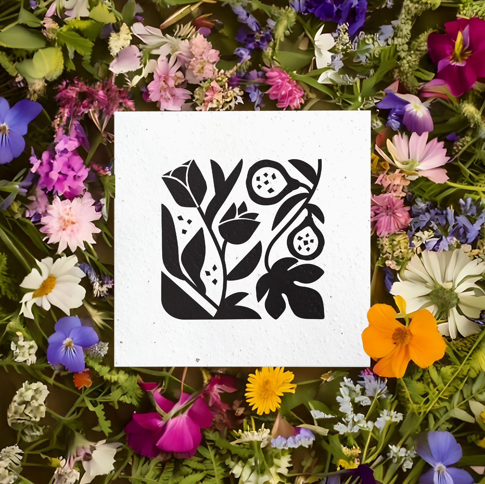 Rose Apothecary –  Carte de souhaits à planter 